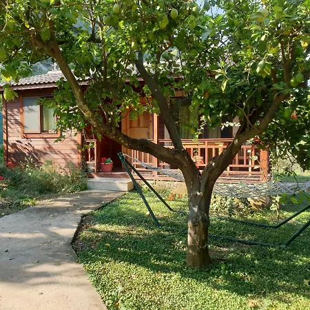 2 Villa Cirali
