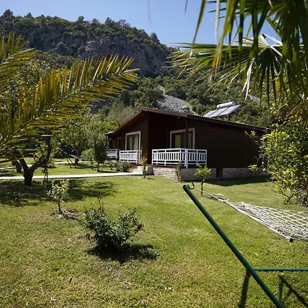2 Vila Çıralı